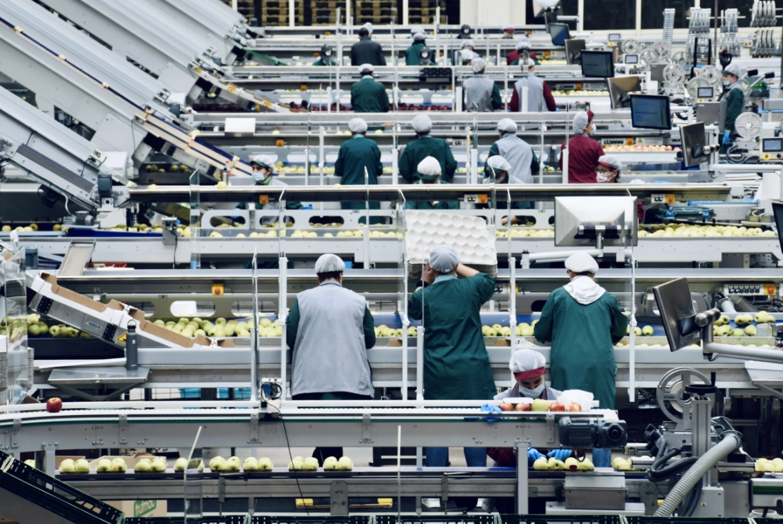 a group of people working in a factory