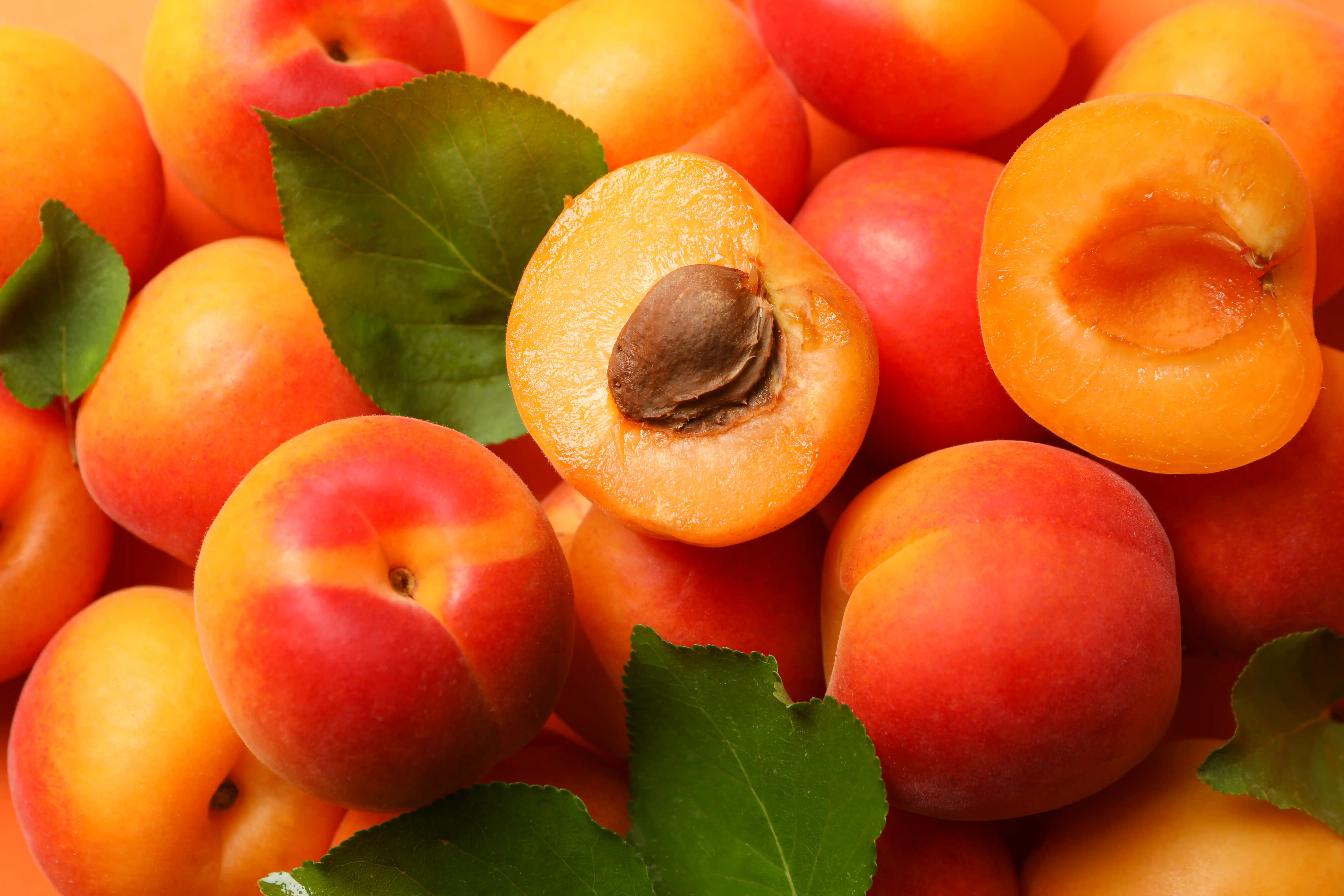 a pile of apricots