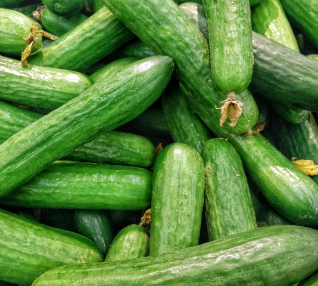 a pile of cucumbers