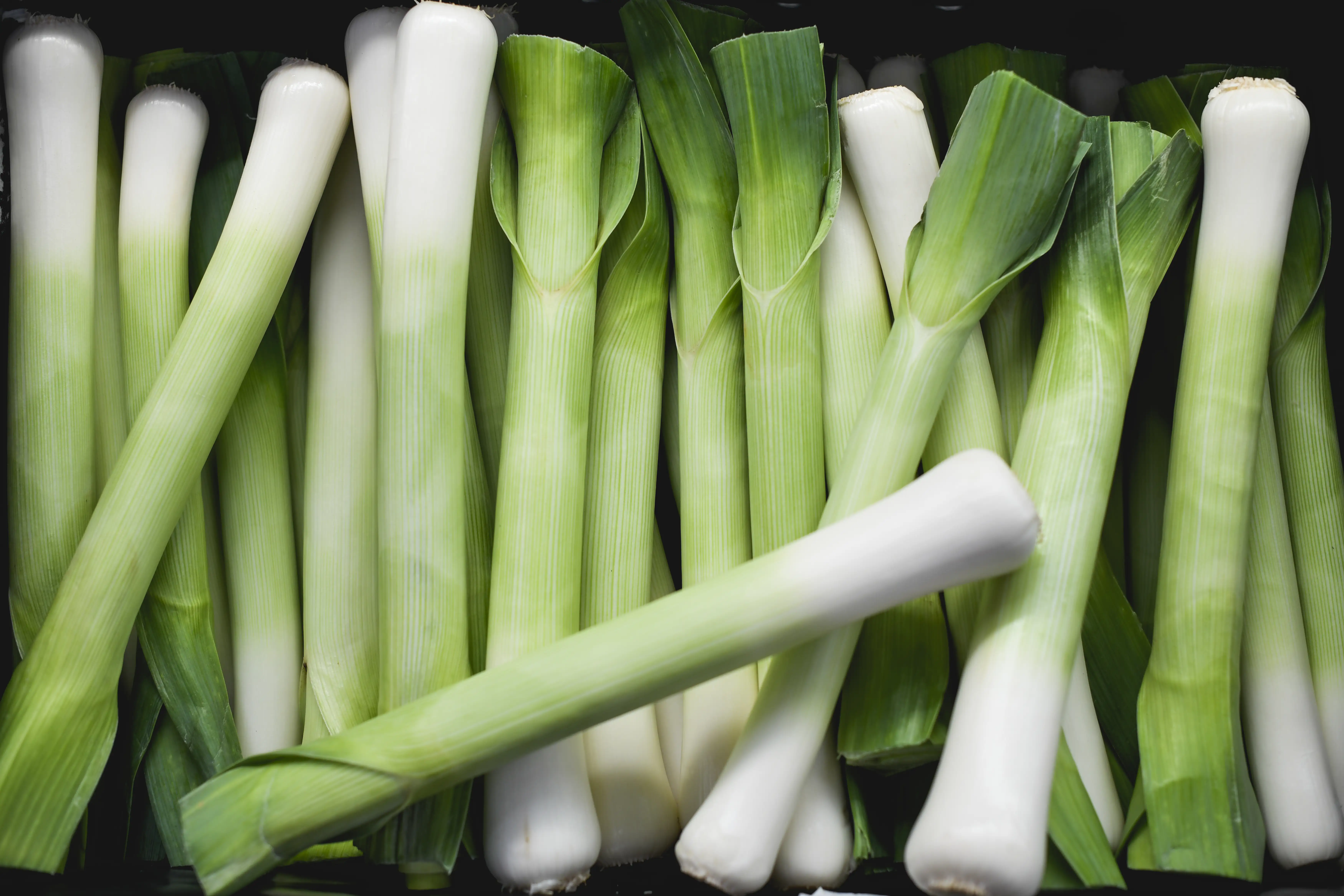 a pile of leeks