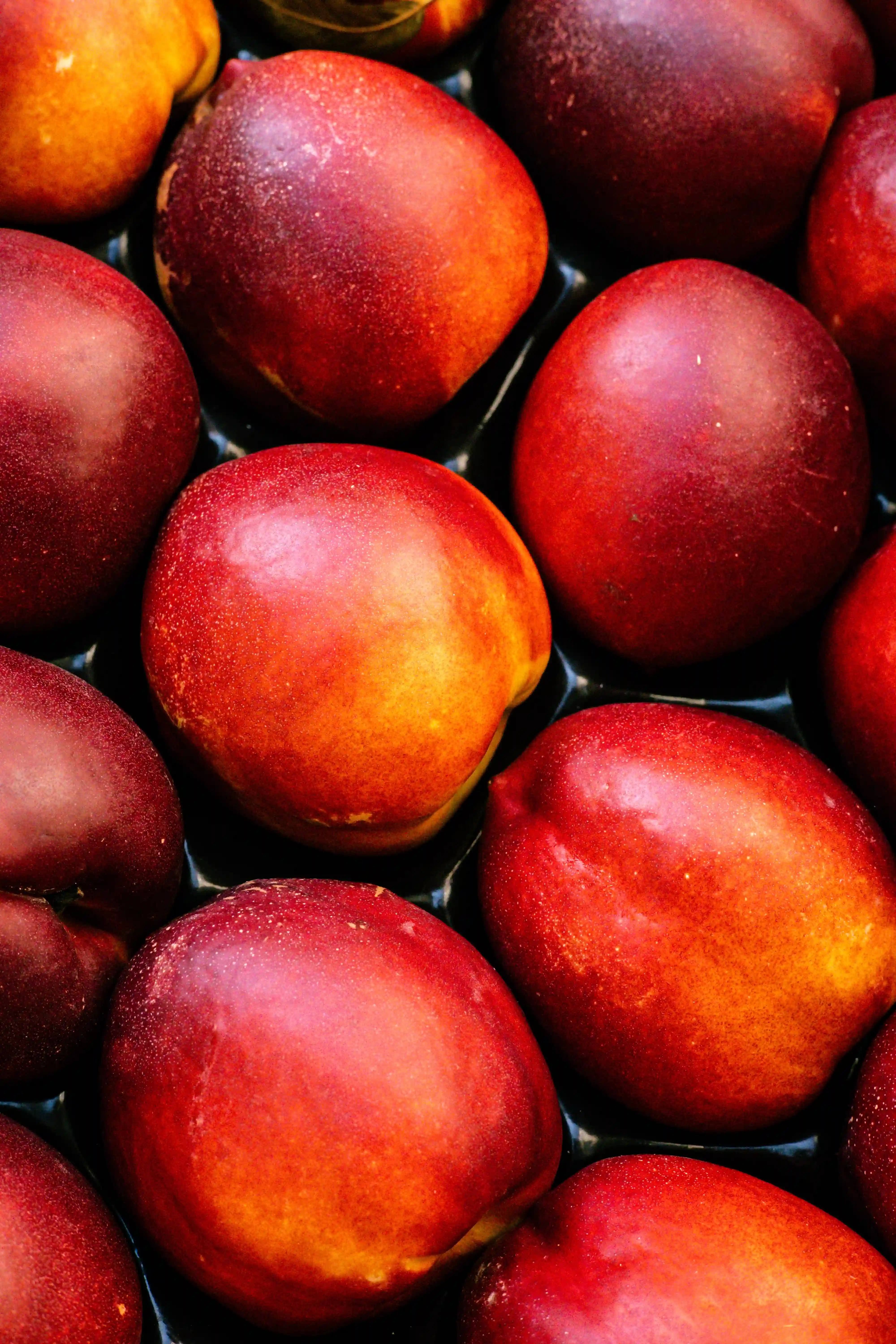 a pile of nectarines