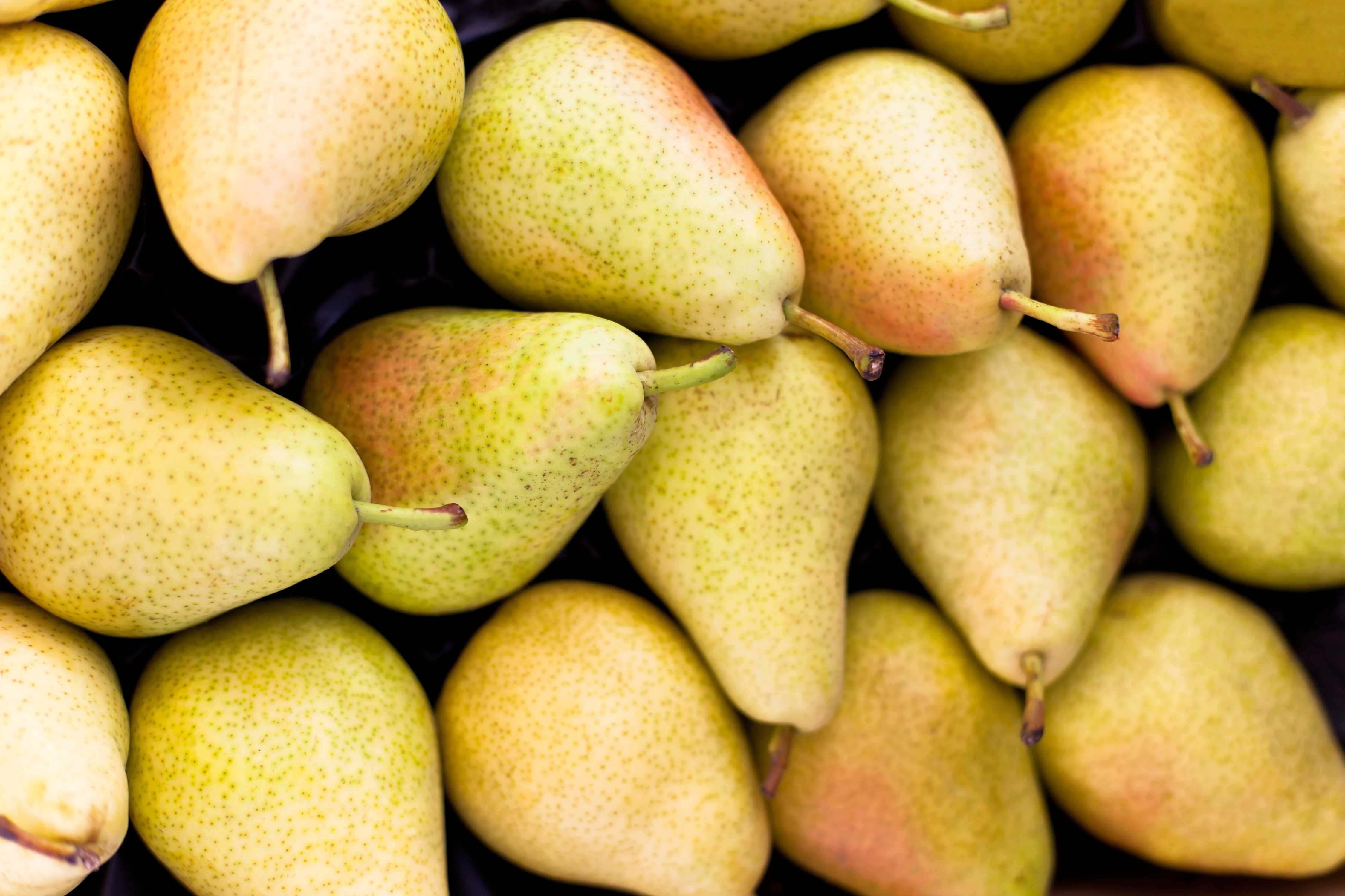a pile of pears