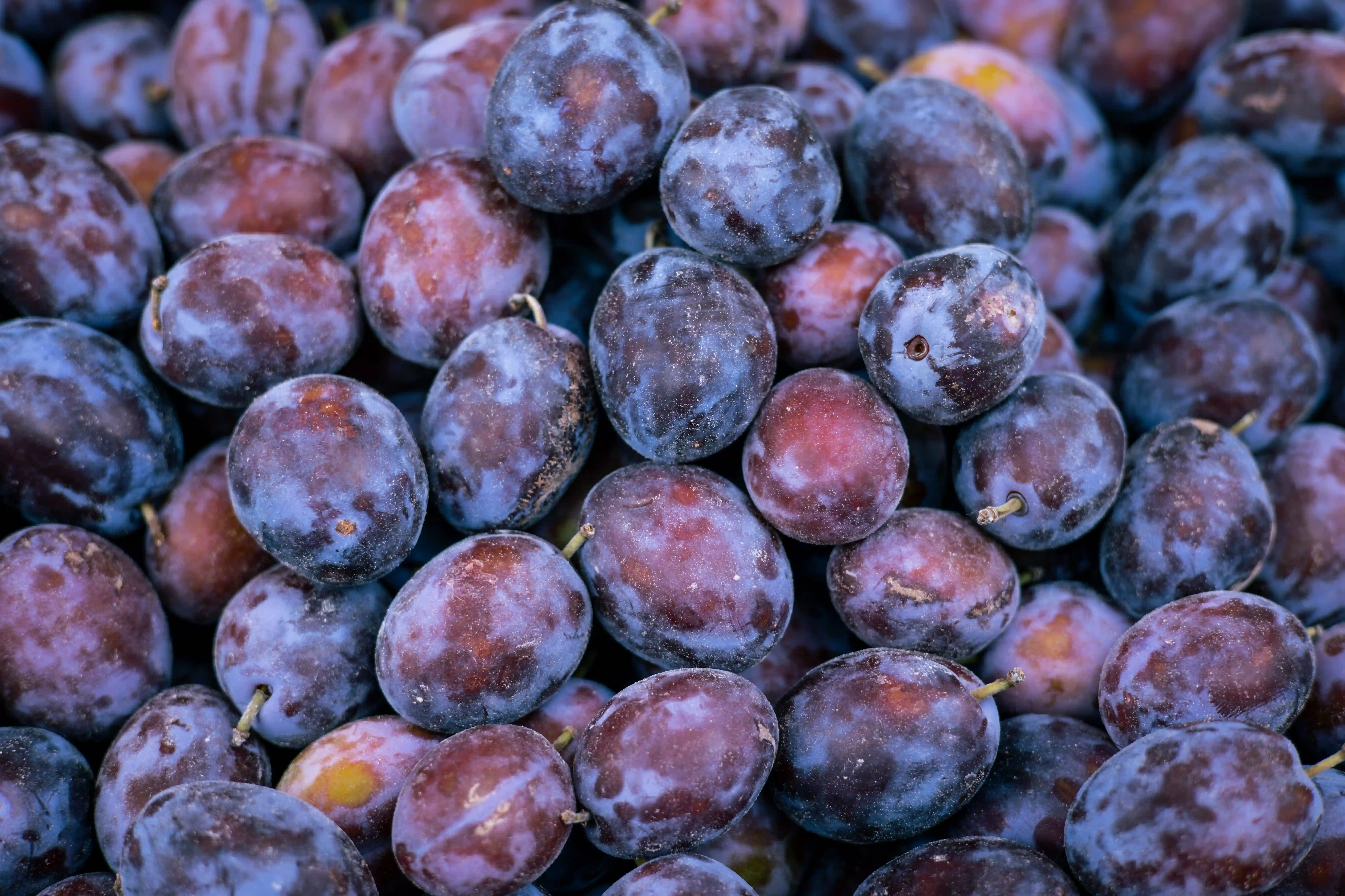 a pile of prunes
